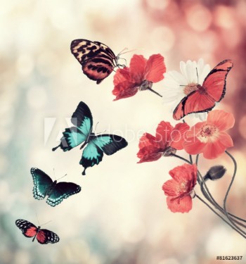 Picture of Flowers And Butterflies